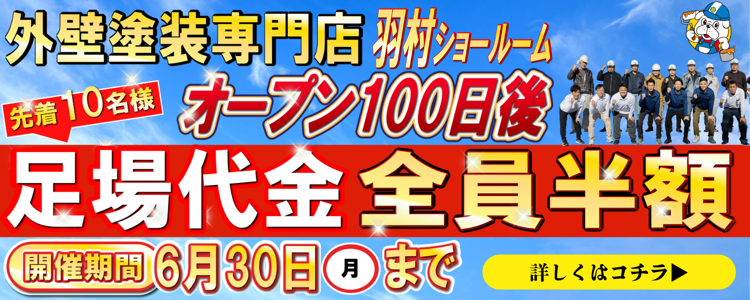 ブルーホームのキャンペーン